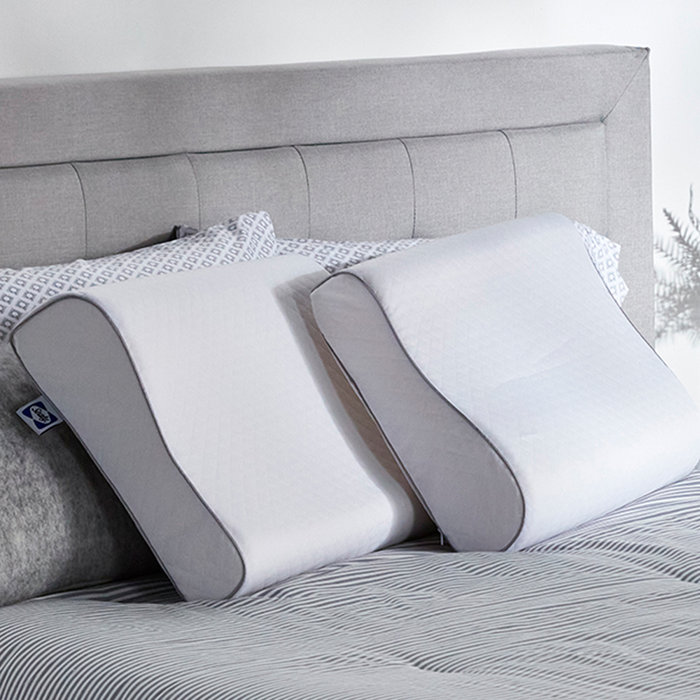 Sealy Essentials Contour Bed Pillow & Reviews Wayfair